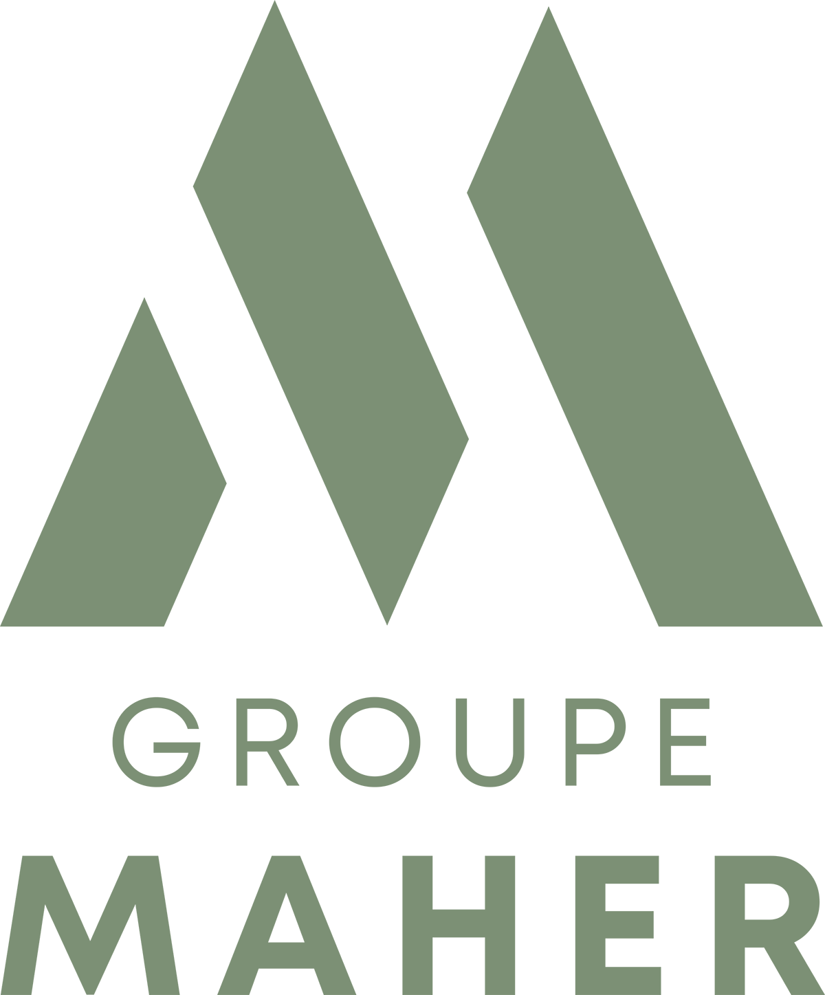 LOGO OFFICIEL - Groupe Maher